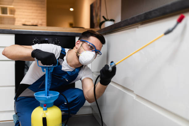 Best Local Pest Control Services  in Estacada, OR