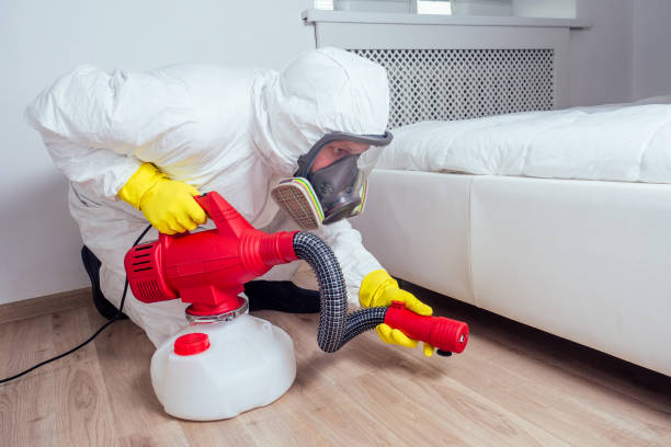 Best Affordable Pest Control Services  in Estacada, OR