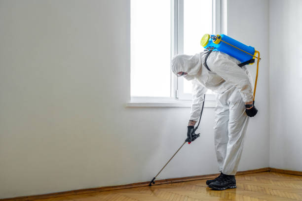 Best Rodent Control Near Me  in Estacada, OR