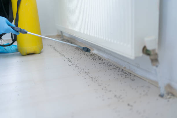 Pest Prevention Services in Estacada, OR